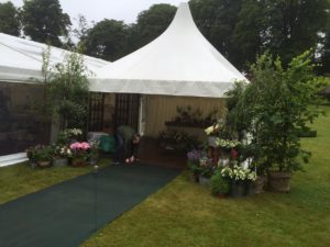 Conserv Services Limited Pagodas  